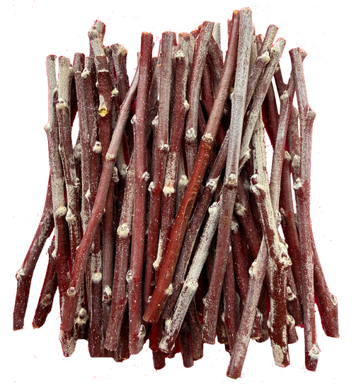 Bedan des Parts Scionwood