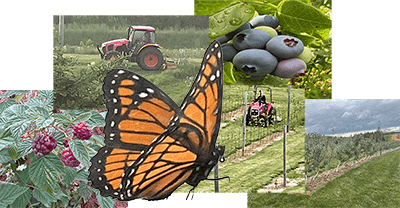 sustainable action